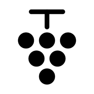 Une icône noire toute simple représentant une grappe de raisin, composée de six cercles disposés en grappe sous une ligne horizontale surmontée d'une ligne verticale, évoquant une tige de raisin, le tout sur un fond clair.