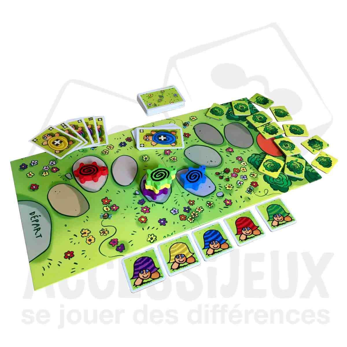 La course des tortues – Image 2